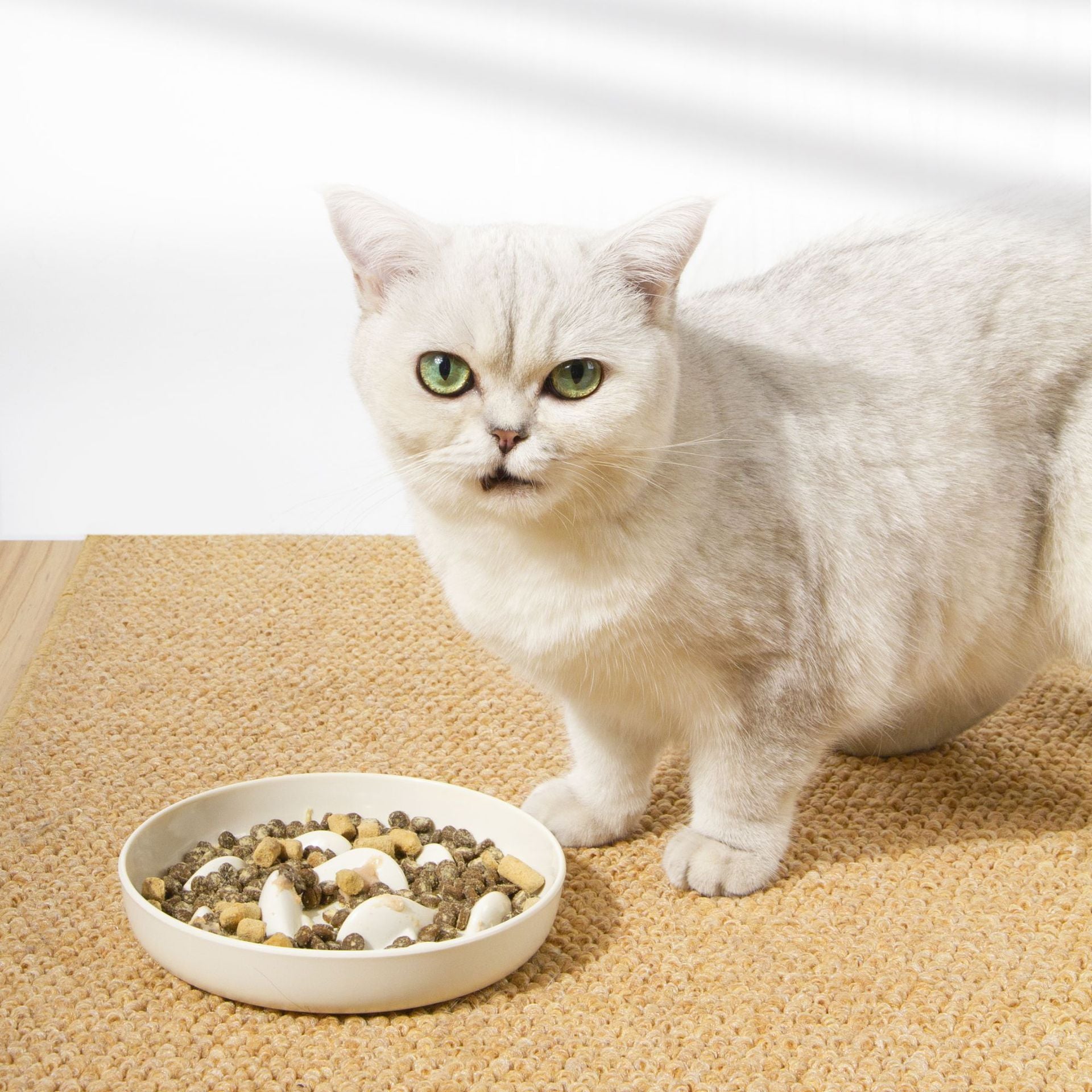 Slow feeder voor honden